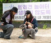 반려동물 양육 1500만명 시대…서울시민 누릴 수 있는 혜택은?