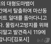 1m짜리 애완용 도마뱀 김포서 탈출…"발견하면 119 신고해 달라"