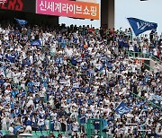 1000만 관중 돌파 기념…KBO, PS 티켓 증정‧골든글러브 시상식 초청