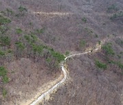 '축구장 20개' 면적 훼손했는데...처벌은 '솜방망이'