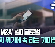 '무자본 M&A' 셀피글로벌 상장 폐지 위기에 속 타는 개미투자자들