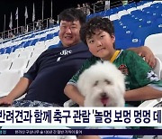 반려견과 함께 축구 관람 '놀멍 보멍 멍멍 데이'