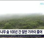 구상나무 숲 100년 간 절반 가까이 줄어