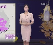 [뉴스9 날씨] 내일도 곳곳 소나기…서쪽은 폭염특보