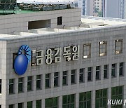 “금감원 분쟁조정 패스트트랙, 도입 후 ELS만 적용…보여주기식”