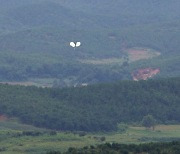 [속보]북한, 추석연휴에도 쓰레기풍선 살포…10여개 수도권에 떨어져