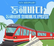 "기차타고 바다로"…공영라방, '알짜배기 동해여행' 출시