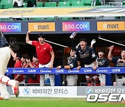 SSG, 대타 오태곤의 동점 투런포에 기뻐 [사진]