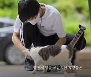 길고양이 돌보는 학생… ‘한국고양이의 날’ 공개된 영상