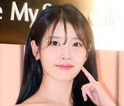 서울시, 내년부터 '상암 잔디석' 판매 제외… "아이유 콘서트가 마지막"