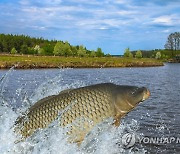 경기도, 낚시터 안전점검서 9곳서 10건 적발…무허가 1곳은 고발