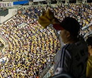 KBO, 마침내 꿈의 천만 관중 돌파!...평균 관중 1.5만 명 [MHN이슈]