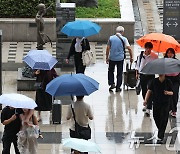 거문도 53·보길도 48.5㎜…광주·전남 곳곳 오후 강한 소나기