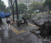 태풍 '버빙카' 中 상하이 상륙…70년만 최강 태풍에 40만 대피(상보)