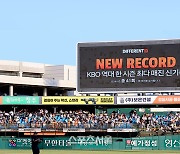 1000만 관중보다 놀라운 2억5000만명···KBO리그 한국 대표 문화 콘텐츠 발돋움 [SS이슈]