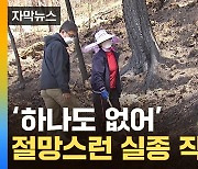 [자막뉴스] "씨가 말랐다"...달라진 한국 상황에 직격탄