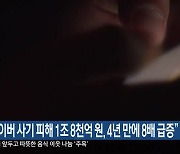 “사이버 사기 피해 1조 8천억 원…4년 만에 8배 급증”