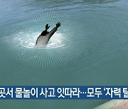 곳곳서 물놀이 사고 잇따라…모두 ‘자력 탈출’