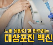 노후 삶의 질 흔드는 대상포진…백신 선택지 확대 [이노메디⑬]