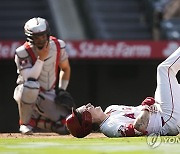 Astros Angels Baseball