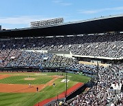 추석 연휴에도 식지 않는 프로야구 열기