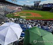 연휴 무더위에도 프로야구 열기 계속