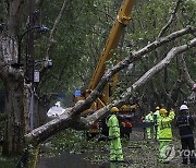 China Typhoon