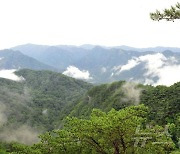 북한, 묘향산 선전하며 "세계적 명산"