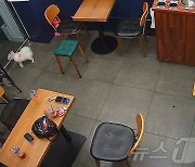 "무인 매장 CCTV 아래서 커플 성행위, 두눈 의심"…점주 '분통'