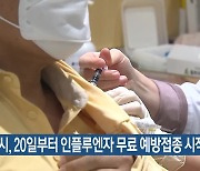 부산시, 20일부터 인플루엔자 무료 예방접종 시작