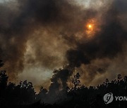 PORTUGAL FOREST FIRE