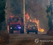 PORTUGAL FOREST FIRE