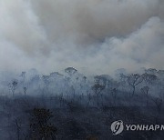 Brazil Fires