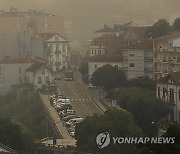 Portugal Wild Fires