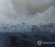 APTOPIX Brazil Fires