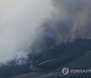 Portugal Wild Fires