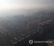 APTOPIX Brazil Fires