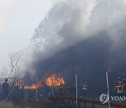 Portugal Wildfires