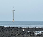 '해상풍력 발전' 갈길 먼 데…국방부 동의 완료 사업 16% 불과