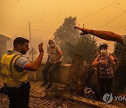 PORTUGAL FOREST FIRE