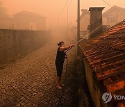 PORTUGAL FOREST FIRE