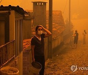 PORTUGAL FOREST FIRE