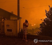 PORTUGAL FOREST FIRE