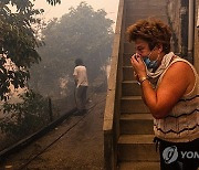 PORTUGAL FOREST FIRE