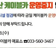 정선 가리왕산 케이블카 운행 중 멈춰…200여명 한때 발 묶여