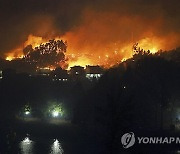 Portugal Wild Fires