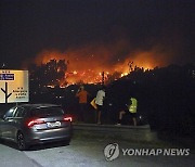 Portugal Wild Fires