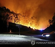 Portugal Wild Fires