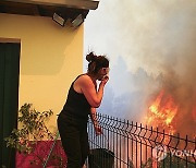 PORTUGAL FOREST FIRE