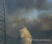 Portugal Wildfires